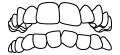 총생